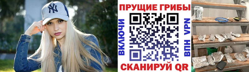 Псилоцибиновые грибы Cubensis  наркота  мориарти как зайти  Чулым 